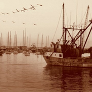 RESTAURANT BAR A HUITRES à PARIS