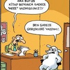 Volkan01980
