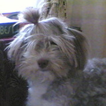 ДИЛЕK ХAДЖЪOГЛУ