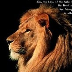 sonsofjudah