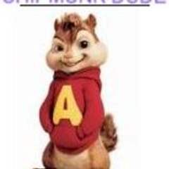Chipmunk Dude