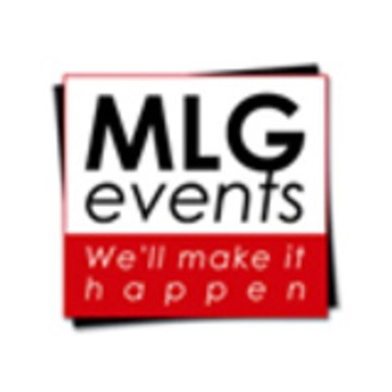 MLG CONSULTING