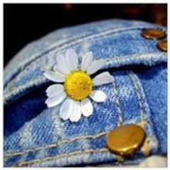 divane_m
