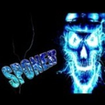 sponer08