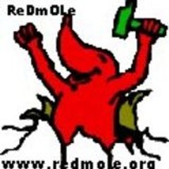 Red Mole