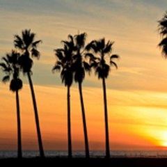 SpotlightSanDiego
