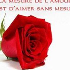 elie bolia