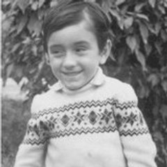 Elmer Jesús Cotrina Ruiz