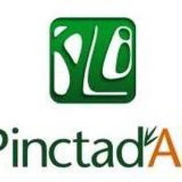PINCTADALI VIETNAM BAMBOO ALI