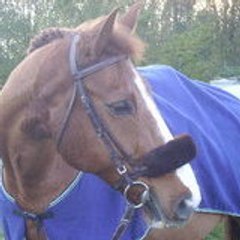 Horseman