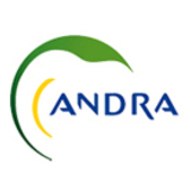 Andra