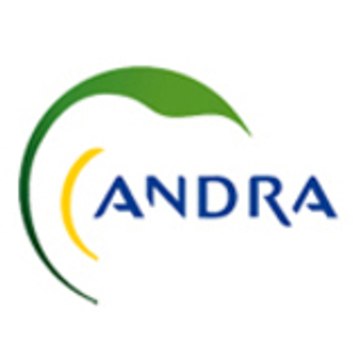 Andra