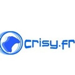 Crisy_gaming