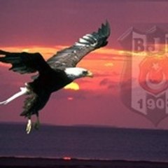 ahmetkartal2005