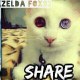 ZELDA FOX 93