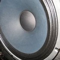 steadybass2