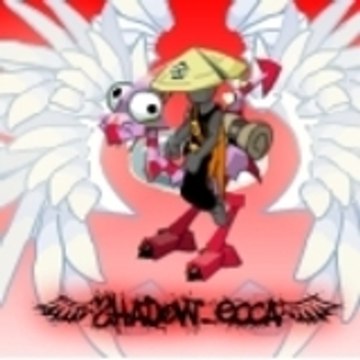 Shadow ecca