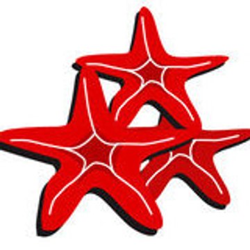 SDR SERVICED APARTMENTS