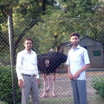 Tauqeer Abbas