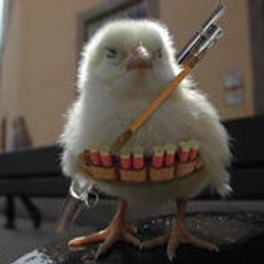 chickgirl