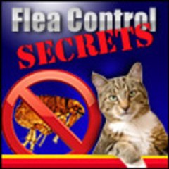 fleacontrolsecrets