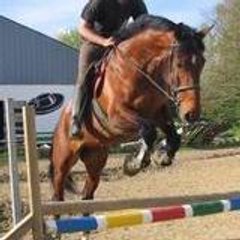 Jérémy orlandomongros