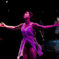 Pilobolus
