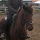 philou bernard