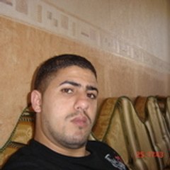 hammouali   amer