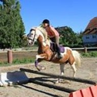 garatoi-jtm holzmann