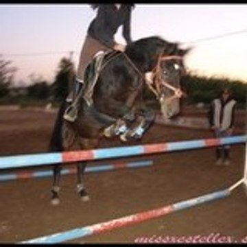 Estelle Sa Te Regarde !