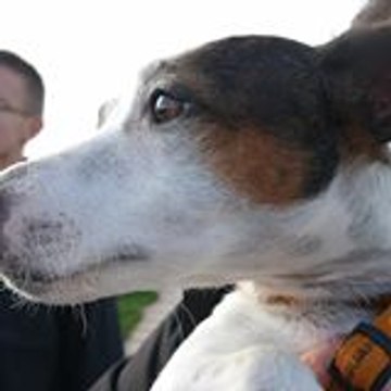 Sandra Eferaencuuieen