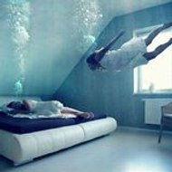 Fernando  Corta saiz