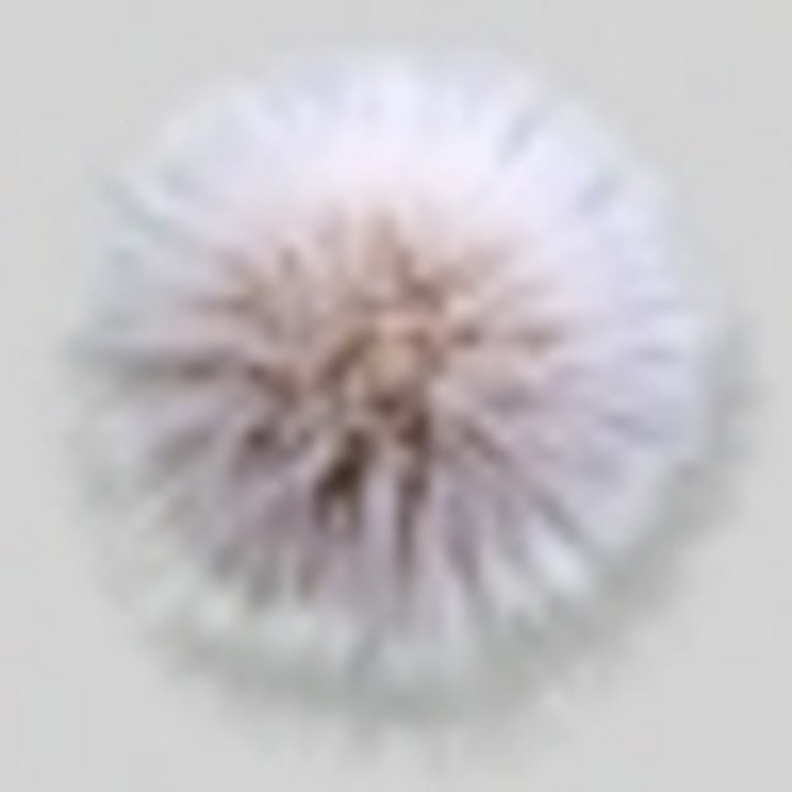 Dailymotion profile picture for @gaboo
