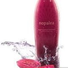 NopaleaBoston