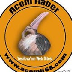 acemli68com