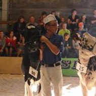 pierre-antoine de boel