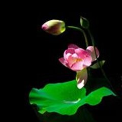 Những bản cover guitar đi cùng năm tháng