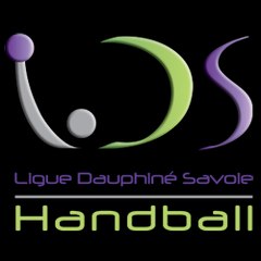 Ligue_DS