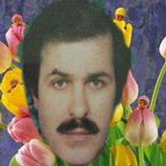 Osmanlı Ali Gamze