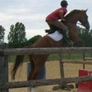 Liliane
