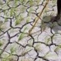 Urgence Climatique Justice Sociale Amiens