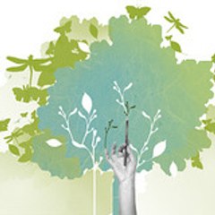 La plateforme video du groupe GGI