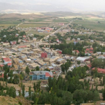 Muhammed65