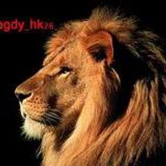 magdy_hk26