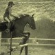 sarahcavaliere