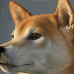 dogdingo