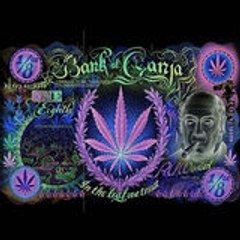 Kamikaze Seven-Eight-Yvelines