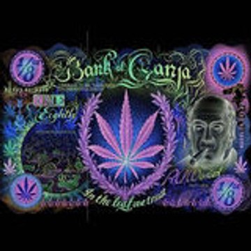 Kamikaze Seven-Eight-Yvelines