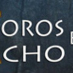 Toros en Acho